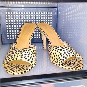 Cheetah kitten heel
